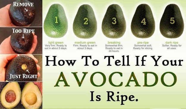 how-to-tell-if-your-avocado